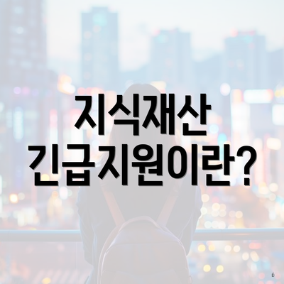 지식재산 긴급지원이란?