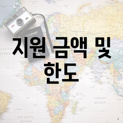 지원 금액 및 한도