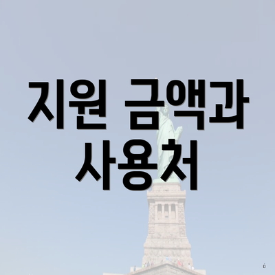 지원 금액과 사용처