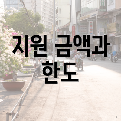 지원 금액과 한도