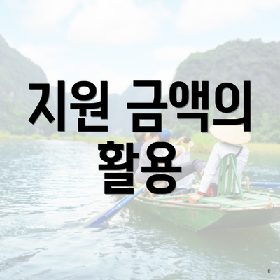 지원 금액의 활용