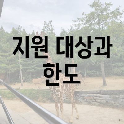 지원 대상과 한도