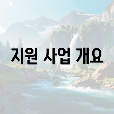 지원 사업 개요