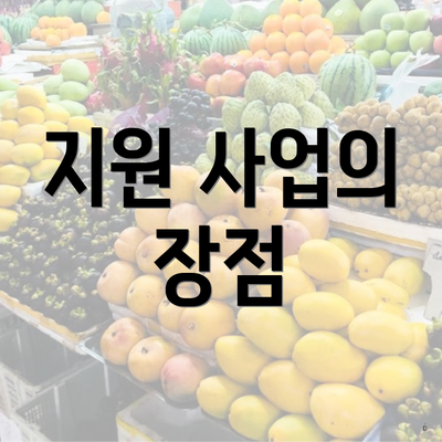 지원 사업의 장점