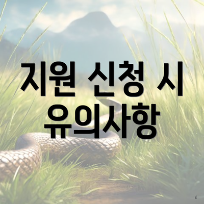 지원 신청 시 유의사항