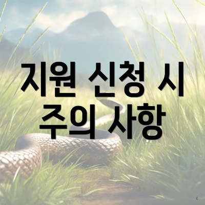 지원 신청 시 주의 사항