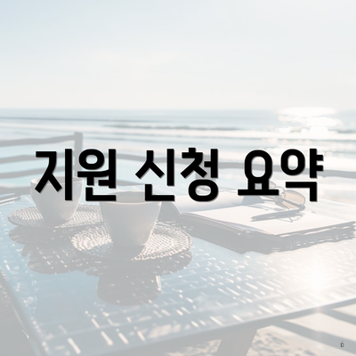 지원 신청 요약