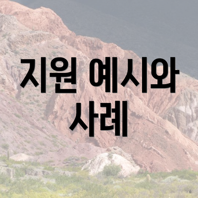 지원 예시와 사례