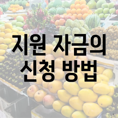 지원 자금의 신청 방법