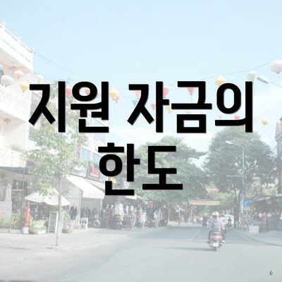 지원 자금의 한도