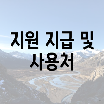 지원 지급 및 사용처