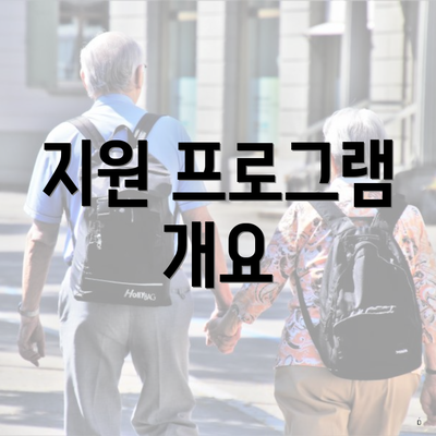 지원 프로그램 개요