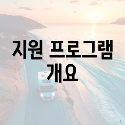 지원 프로그램 개요
