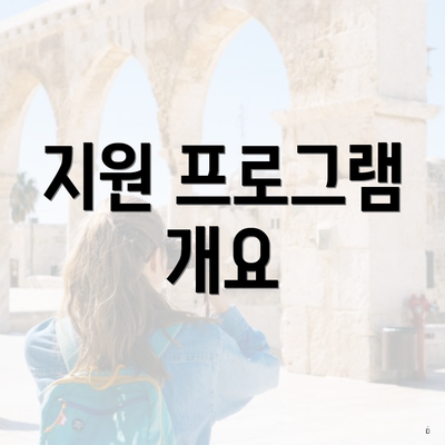 지원 프로그램 개요