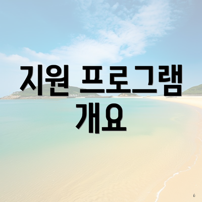 지원 프로그램 개요