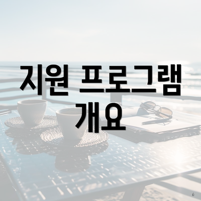 지원 프로그램 개요