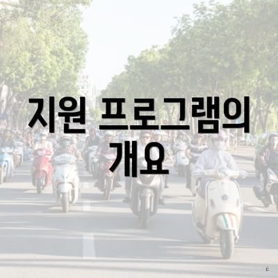 지원 프로그램의 개요