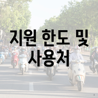 지원 한도 및 사용처