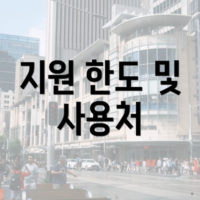 지원 한도 및 사용처