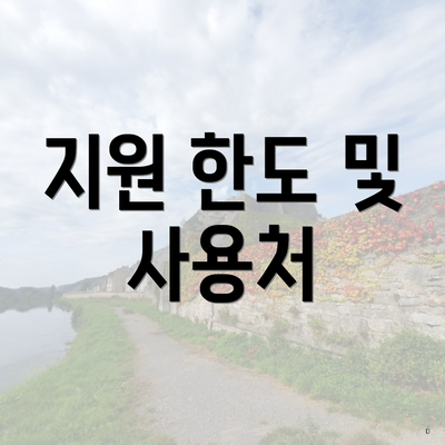 지원 한도 및 사용처