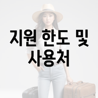 지원 한도 및 사용처