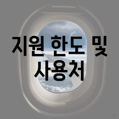 지원 한도 및 사용처