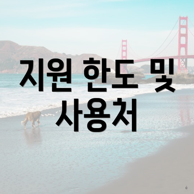 지원 한도 및 사용처