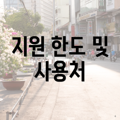 지원 한도 및 사용처