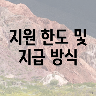 지원 한도 및 지급 방식