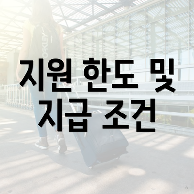 지원 한도 및 지급 조건