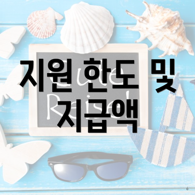 지원 한도 및 지급액