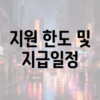 지원 한도 및 지급일정