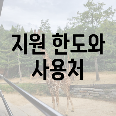 지원 한도와 사용처