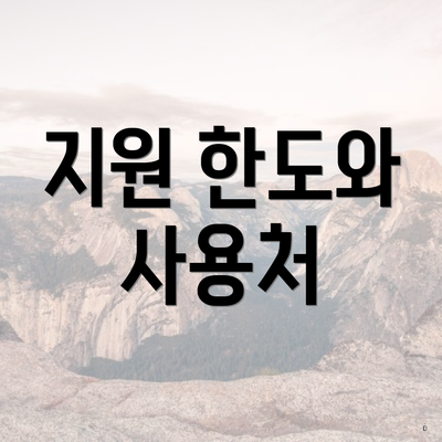 지원 한도와 사용처