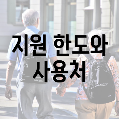 지원 한도와 사용처