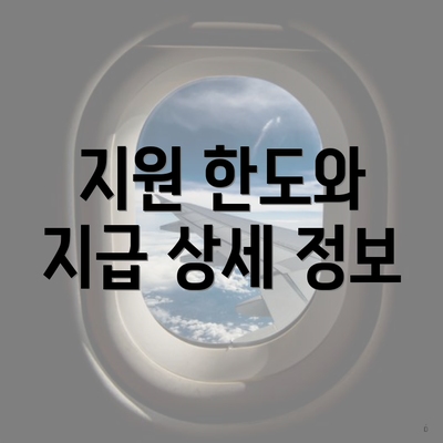 지원 한도와 지급 상세 정보