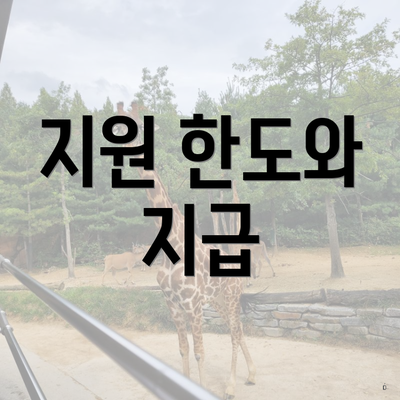 지원 한도와 지급