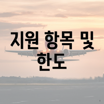지원 항목 및 한도