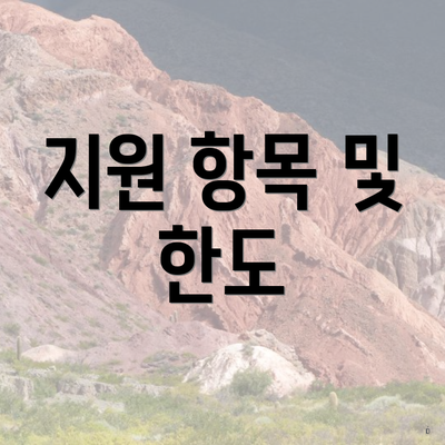 지원 항목 및 한도