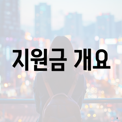 지원금 개요