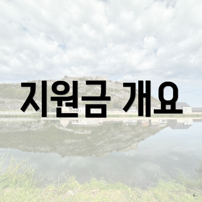 지원금 개요