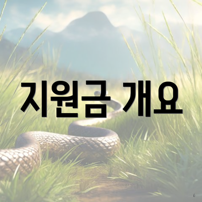 지원금 개요