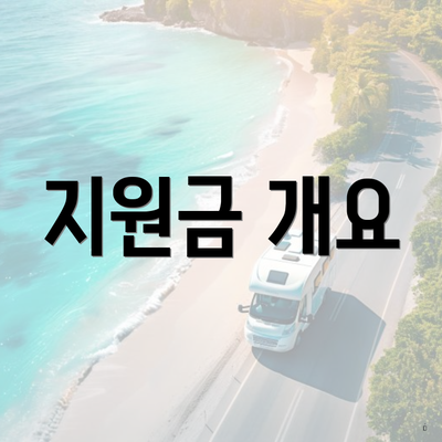 지원금 개요