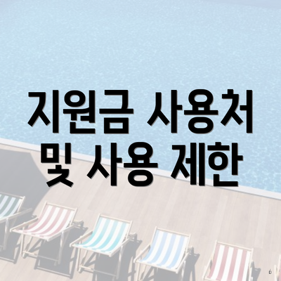 지원금 사용처 및 사용 제한