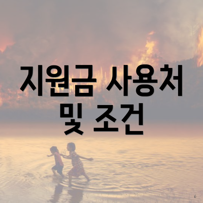 지원금 사용처 및 조건