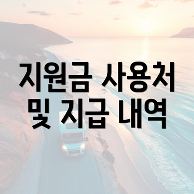 지원금 사용처 및 지급 내역