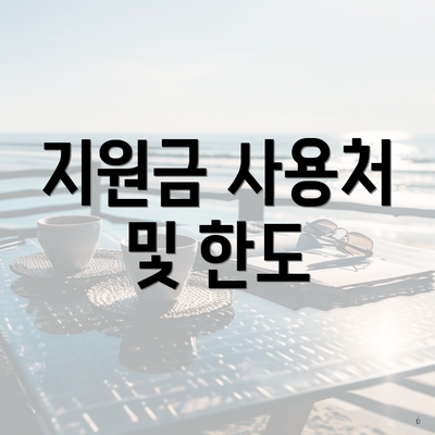 지원금 사용처 및 한도