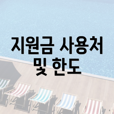 지원금 사용처 및 한도