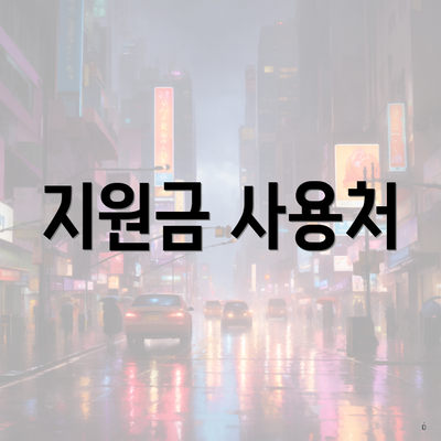 지원금 사용처