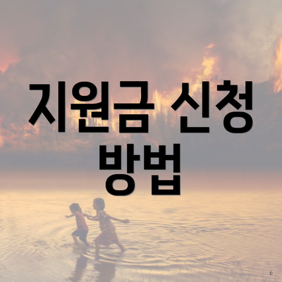 지원금 신청 방법